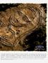 Page: - 3 | Cycle World