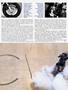 Page: - 35 | Cycle World