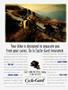 Page: - 37 | Cycle World