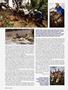 Page: - 78 | Cycle World