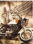 Page: - 117 | Cycle World