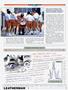 Page: - 87 | Cycle World