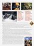Page: - 41 | Cycle World