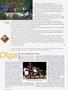 Page: - 42 | Cycle World