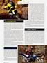Page: - 56 | Cycle World