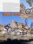 Page: - 76 | Cycle World
