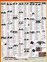 Page: - 103 | Cycle World