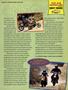 Page: - 95 | Cycle World