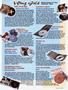 Page: - 43 | Cycle World