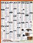 Page: - 116 | Cycle World