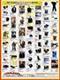 Page: - 120 | Cycle World