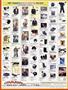 Page: - 137 | Cycle World