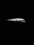 Page: - 84a | Cycle World
