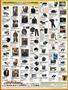 Page: - 137 | Cycle World