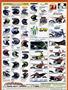 Page: - 129 | Cycle World