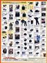 Page: - 118 | Cycle World