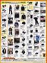 Page: - 113 | Cycle World