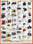 Page: - 145 | Cycle World