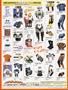 Page: - 147 | Cycle World