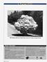 Page: - 164 | Cycle World