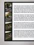 Page: - 52b | Cycle World