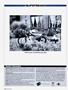 Page: - 138 | Cycle World