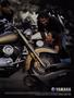 Page: - 81 | Cycle World