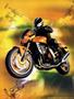 Page: - 12 | Cycle World