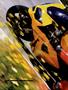 Page: - 48 | Cycle World