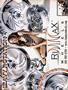 Page: - 117 | Cycle World