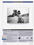 Page: - 154 | Cycle World