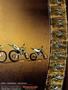 Page: - 5 | Cycle World
