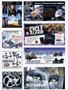 Page: - 119 | Cycle World