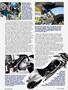 Page: - 45 | Cycle World