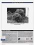 Page: - 154 | Cycle World