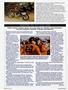 Page: - 86 | Cycle World
