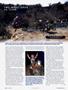 Page: - 96 | Cycle World