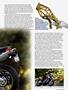 Page: - 59 | Cycle World