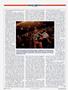 Page: - 80 | Cycle World