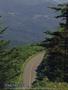 Page: - 24 | Cycle World