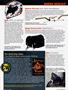 Page: - 58 | Cycle World