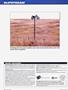 Page: - 90 | Cycle World