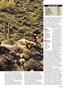 Page: - 65 | Cycle World