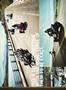 Page: - 11 | Cycle World