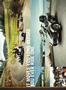 Page: - 13 | Cycle World