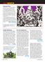 Page: - 26 | Cycle World