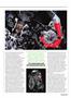 Page: - 47 | Cycle World