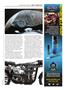 Page: - 91 | Cycle World