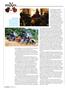 Page: - 38 | Cycle World