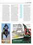 Page: - 25 | Cycle World